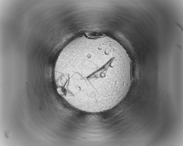 X0000102530115200808291828