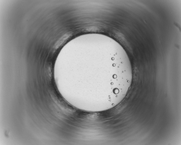 X0000102530116200808291828