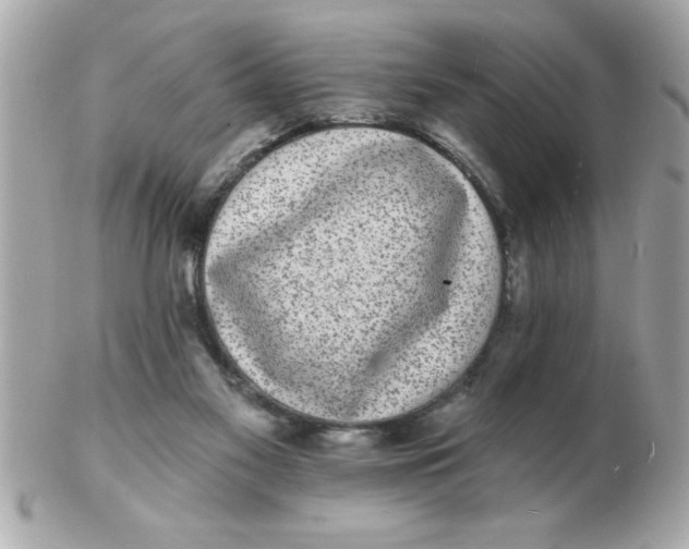 X0000102530117200808291828