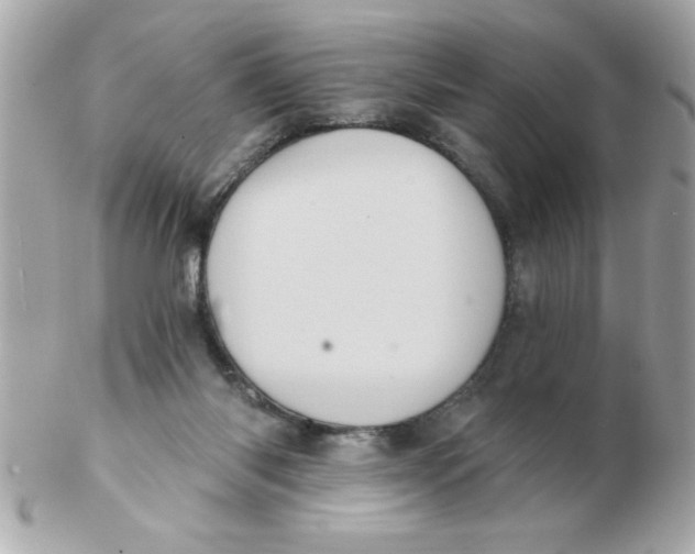 X0000102530118200808291828