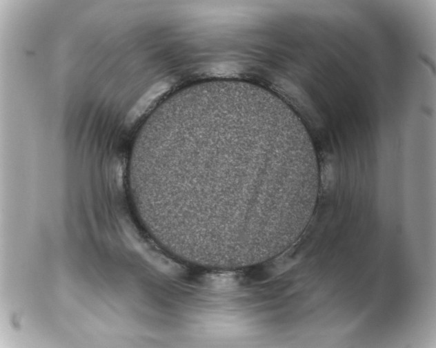 X0000102530120200808291828