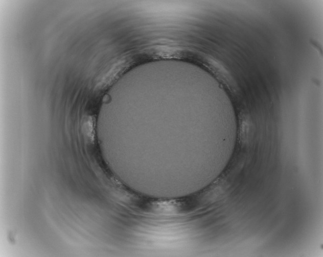 X0000102530121200808291828
