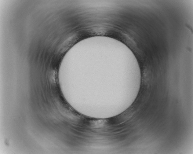 X0000102530122200808291828
