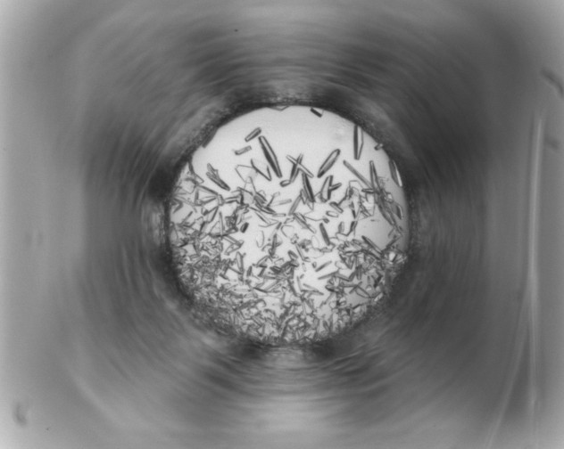 X0000102530123200808291828