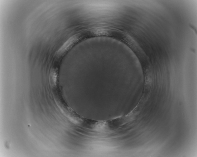 X0000102530124200808291828