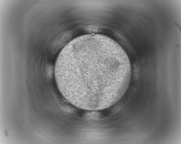 X0000102530125200808291828