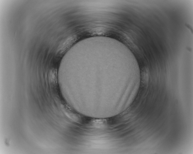 X0000102530126200808291828