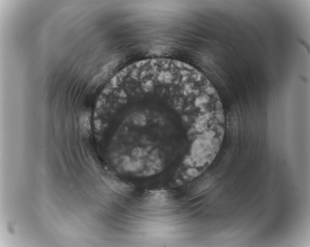 X0000102530127200808291828