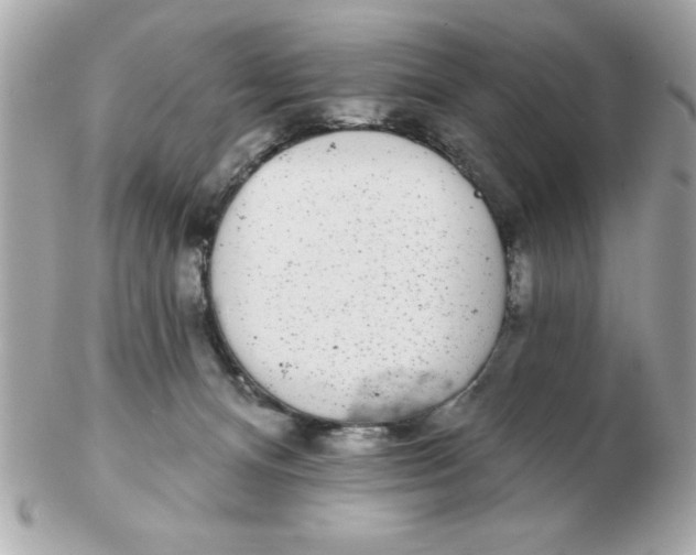 X0000102530128200808291828