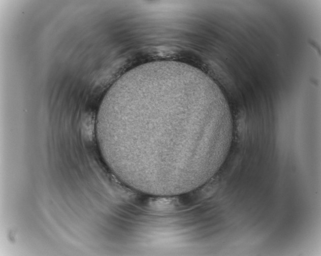X0000102530129200808291828