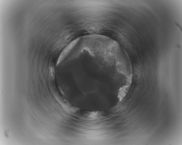 X0000102530130200808291828