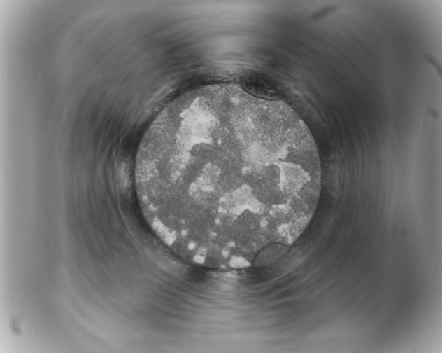 X0000102530131200808291828