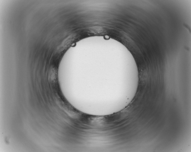 X0000102530132200808291828