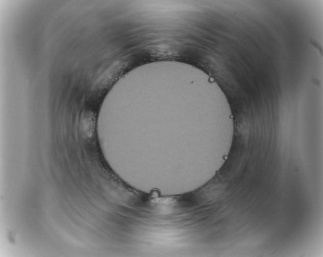 X0000102530133200808291828