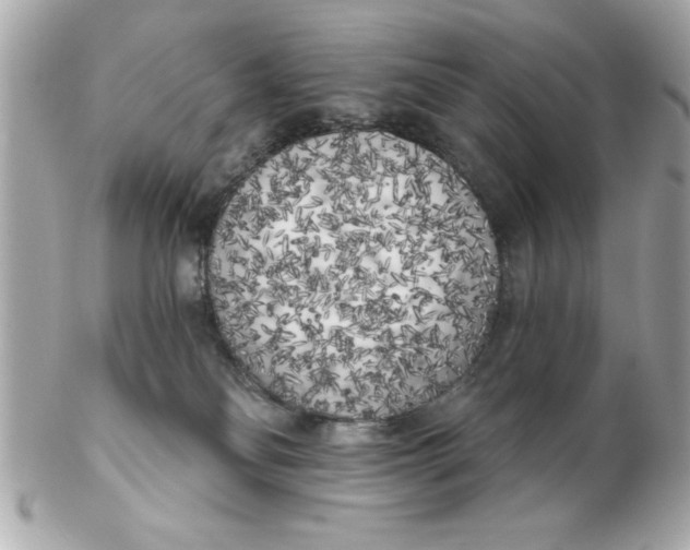 X0000102530134200808291828