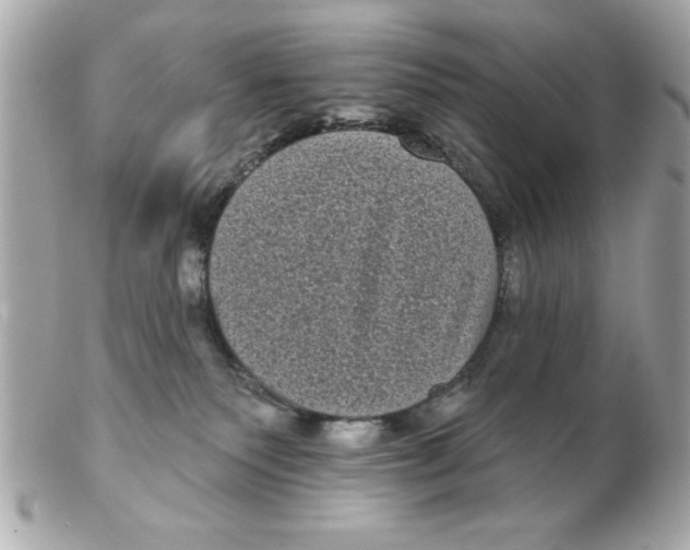X0000102530135200808291828