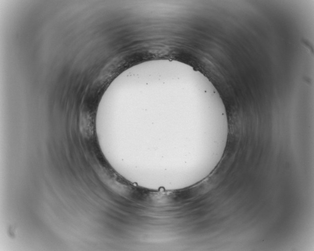 X0000102530136200808291828