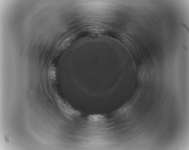 X0000102530137200808291828