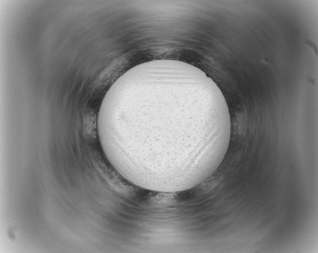 X0000102530138200808291828