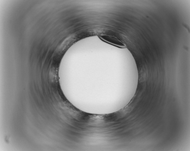 X0000102530140200808291828