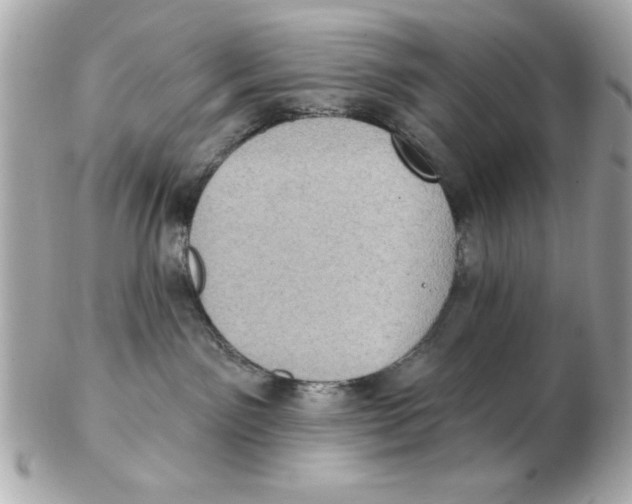 X0000102530141200808291828
