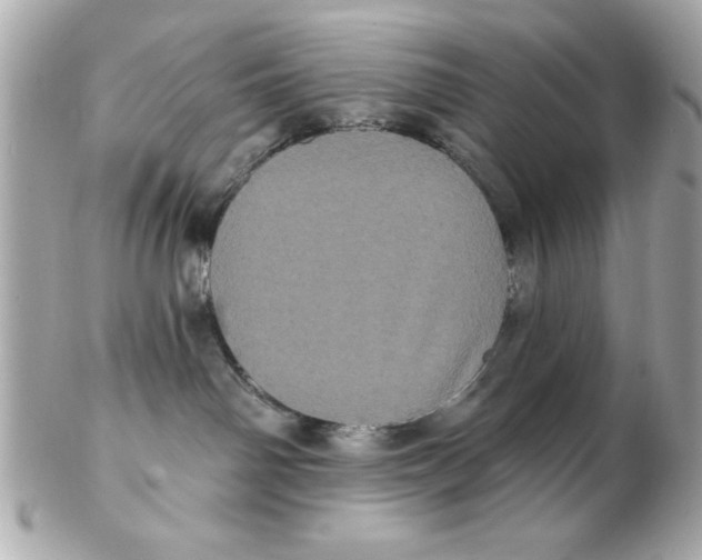 X0000102530142200808291828