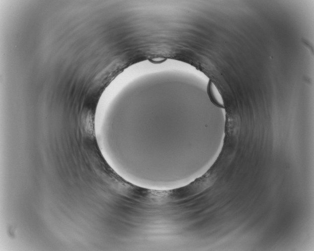 X0000102530143200808291828