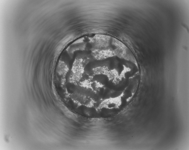 X0000102530145200808291827