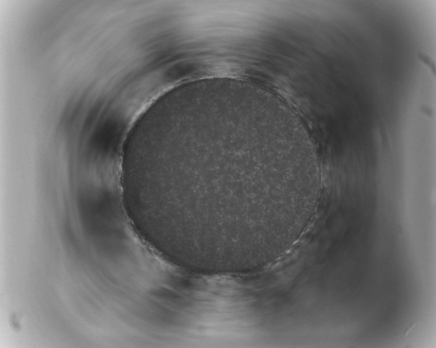 X0000102530146200808291827
