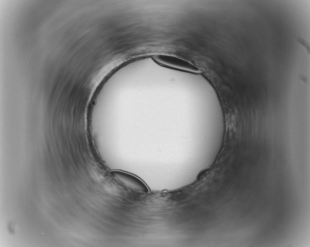 X0000102530148200808291827