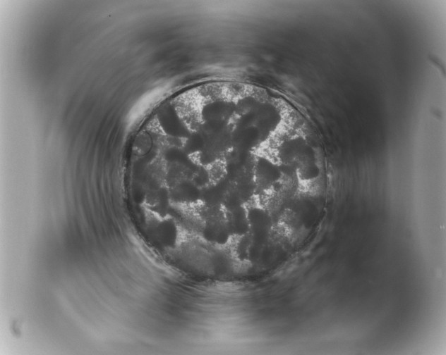 X0000102530149200808291827