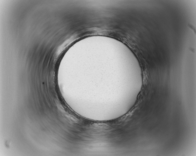 X0000102530150200808291827