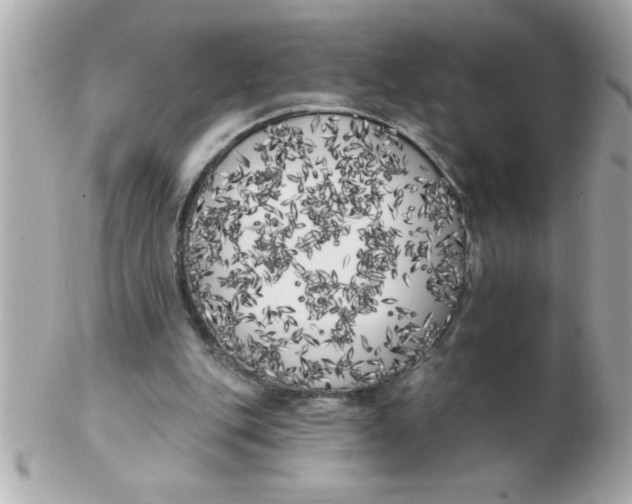 X0000102530151200808291827