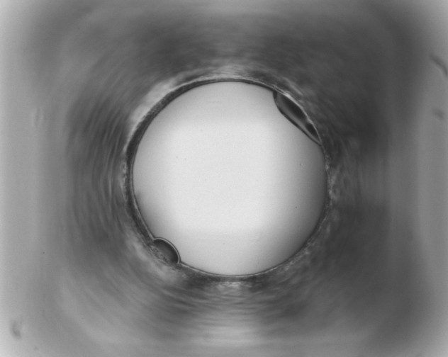 X0000102530152200808291827