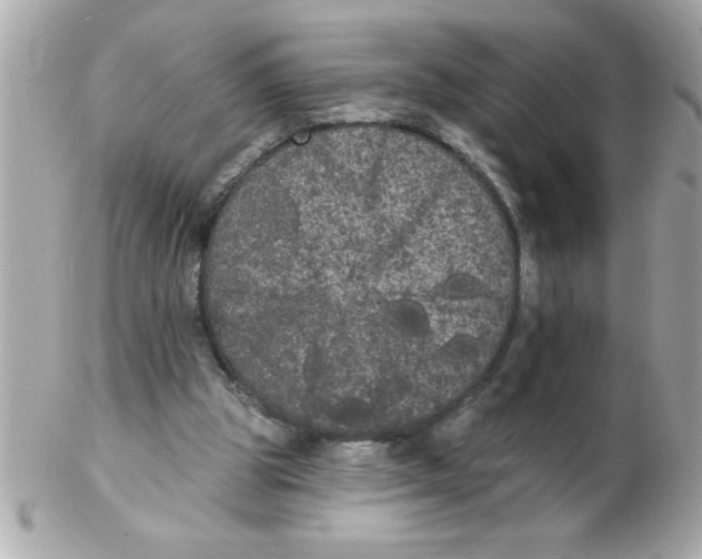 X0000102530153200808291827