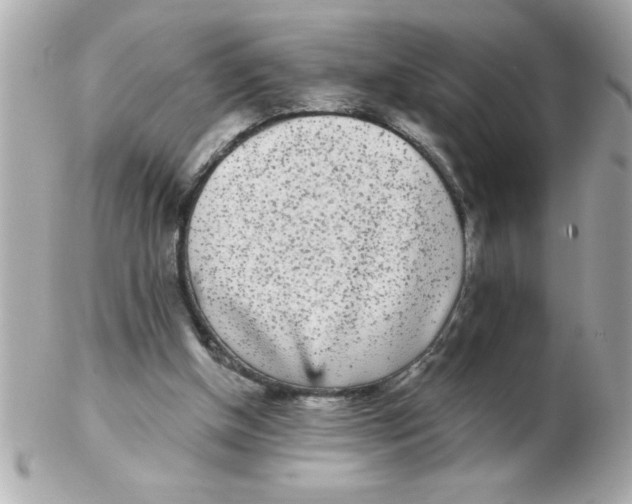 X0000102530154200808291827