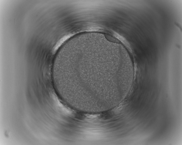 X0000102530155200808291827