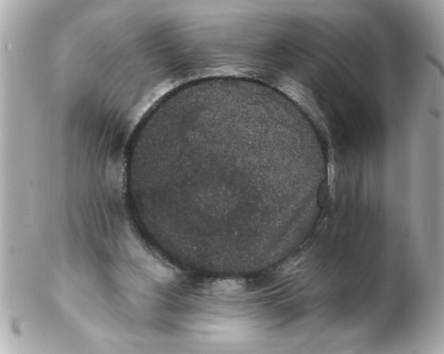 X0000102530156200808291827