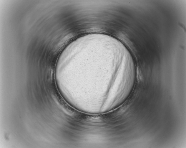 X0000102530157200808291827