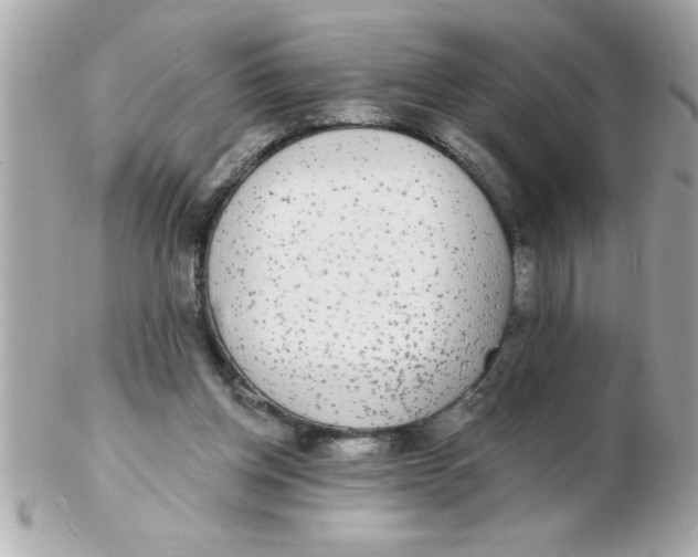 X0000102530158200808291827