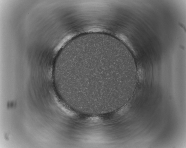 X0000102530159200808291827