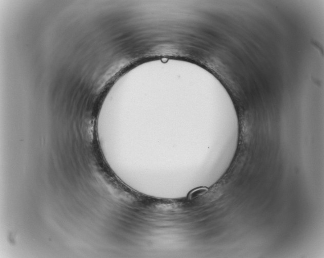 X0000102530160200808291827