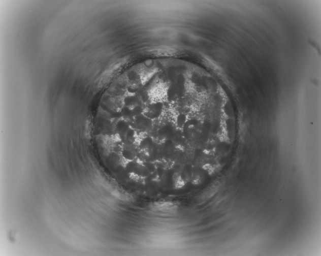 X0000102530161200808291827