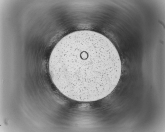 X0000102530162200808291828