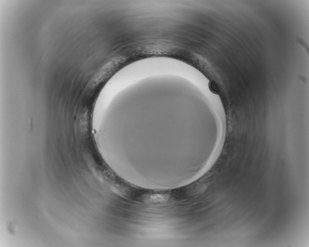 X0000102530163200808291828