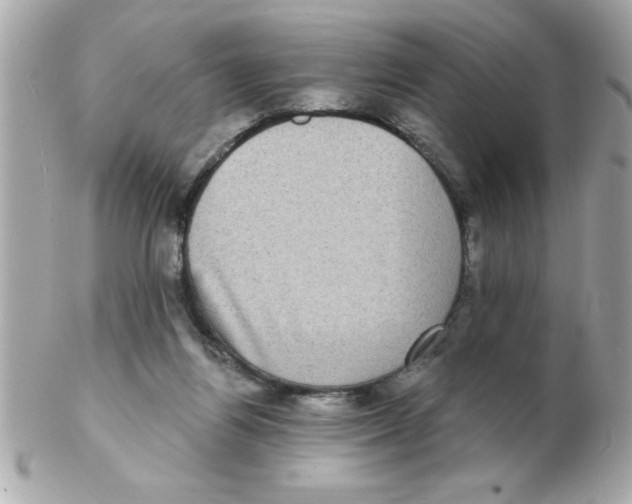 X0000102530164200808291828