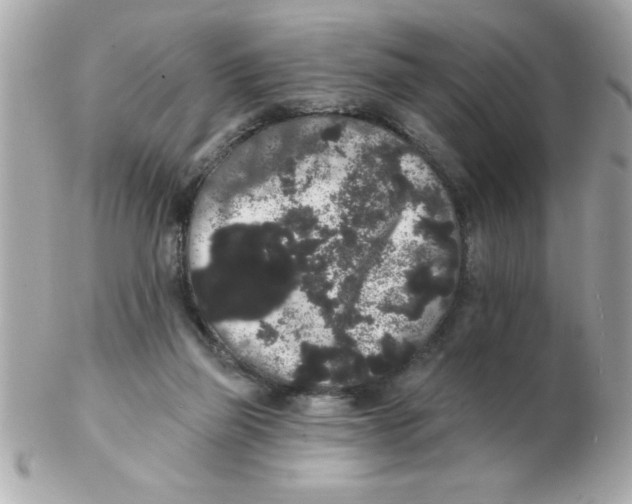 X0000102530165200808291828
