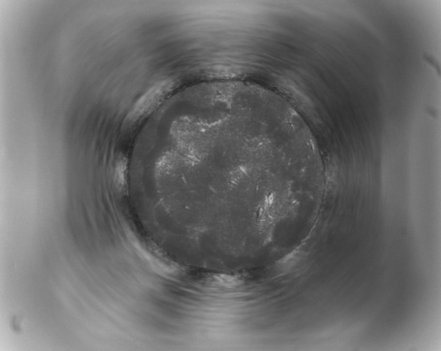 X0000102530166200808291828