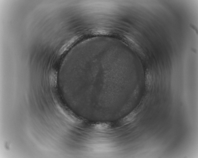 X0000102530168200808291828