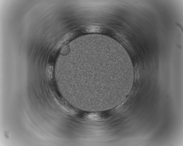 X0000102530171200808291828